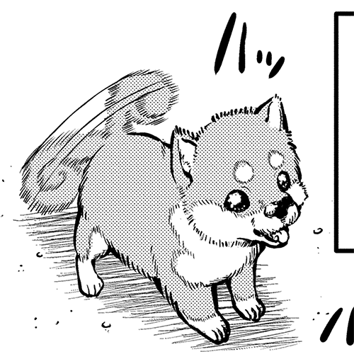 第31位