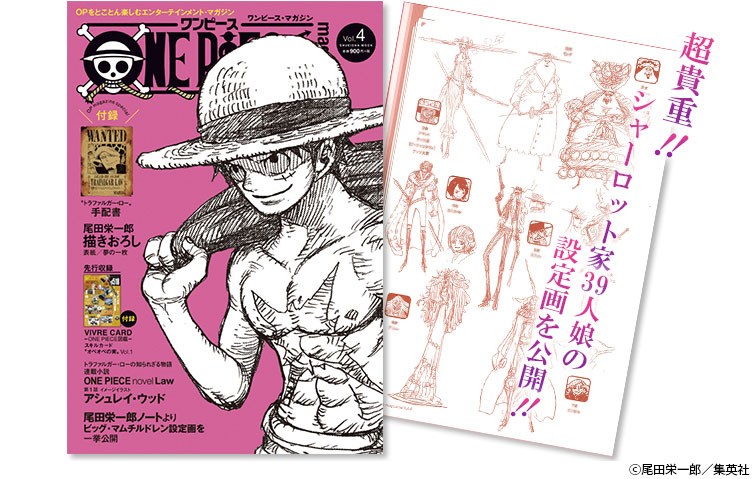 ONE PIECE magazine