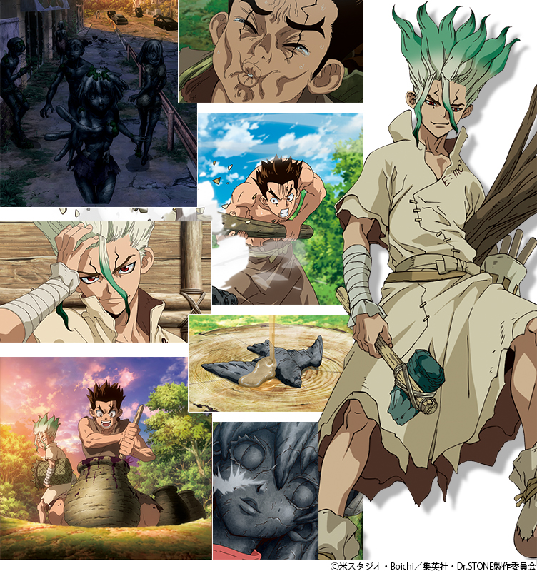 TVアニメ『Dr.STONE』