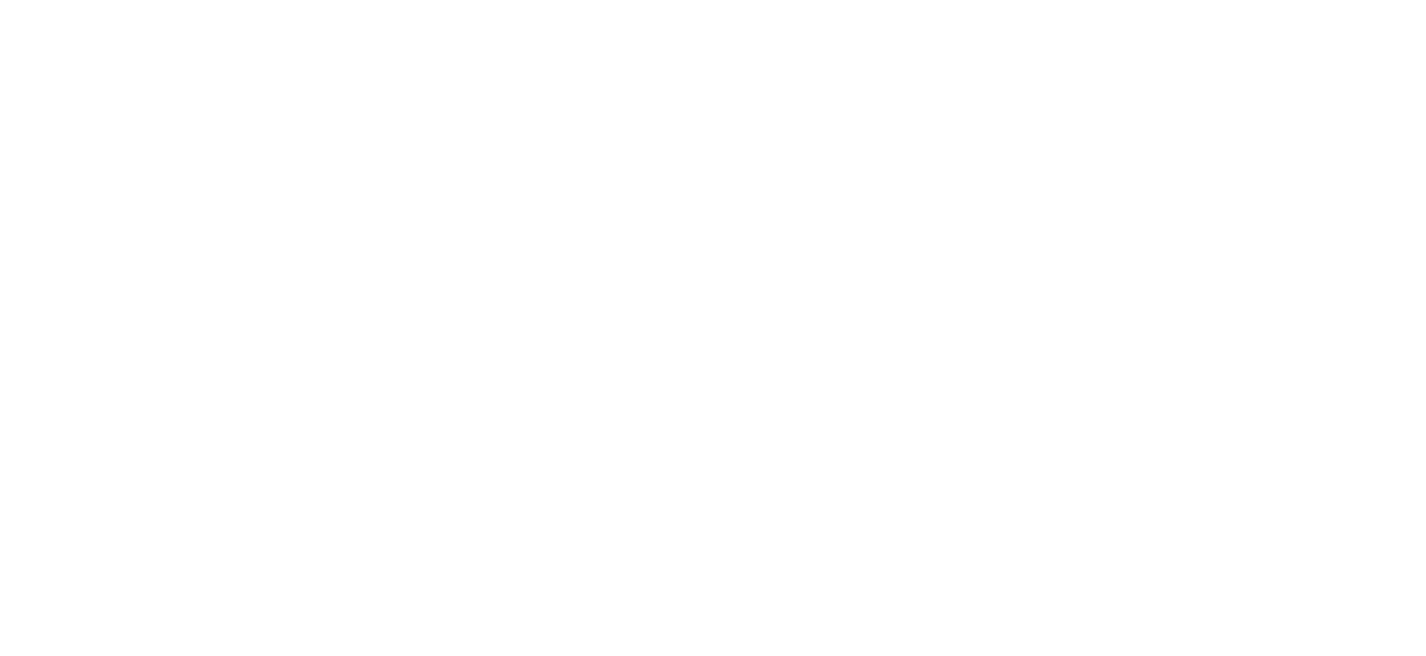 Coloring & Completed 着彩して、完成