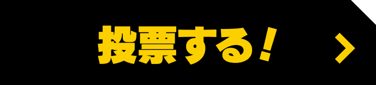 投票する