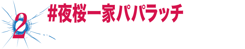 「 #夜桜一家パパラッチ 」でツイート