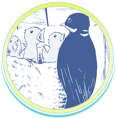 破壊神マグちゃん 第1回キャラクター人気投票 集英社 週刊少年ジャンプ 公式サイト