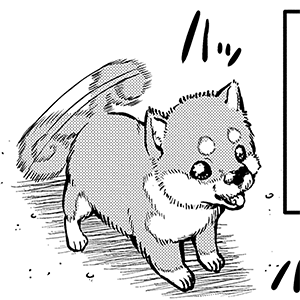 犬