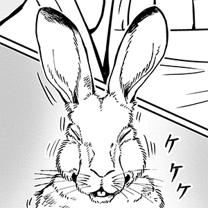 野兎