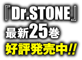 デジタル版「週刊少年ジャンプ」定期購読者限定】『Dr.STONE』アクリル 